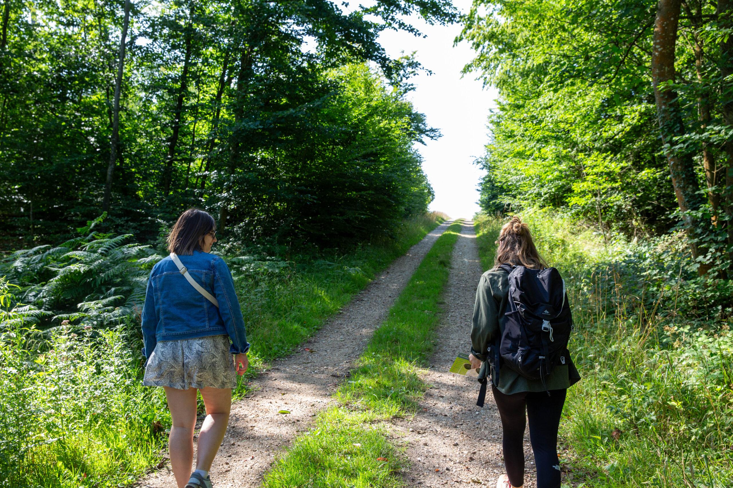 Randonnée en forêt